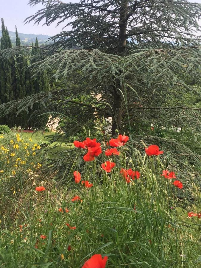 Casale Sant'Elia Bed and Breakfast Capranica Εξωτερικό φωτογραφία